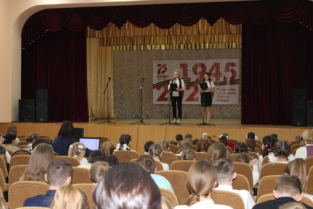 festi 7