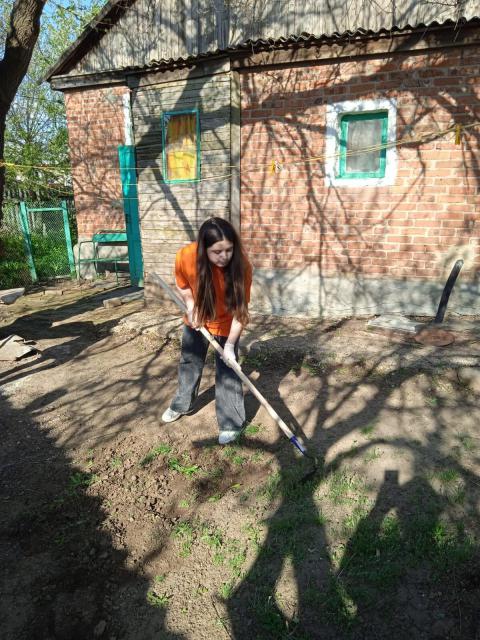 volon202204 2